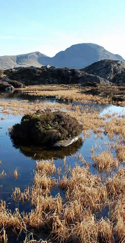 Innominate Tarn looking towards Green Gable and Great Gable